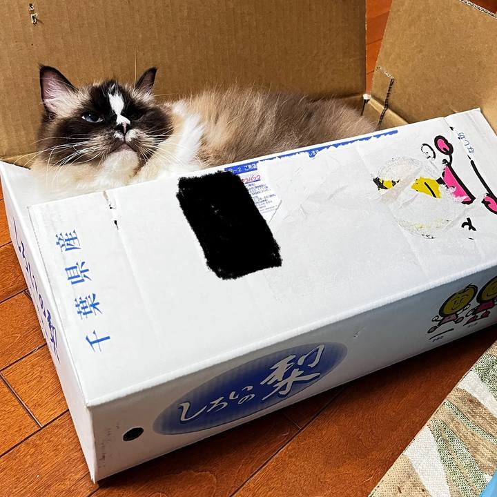 B53d57b5 1575 485c 8fd4 92690ce48e21 1695906936386