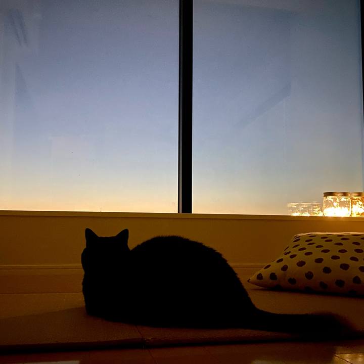 B53d5d22 897a 4d59 861f b1ec29aa0cb1 1667981743648