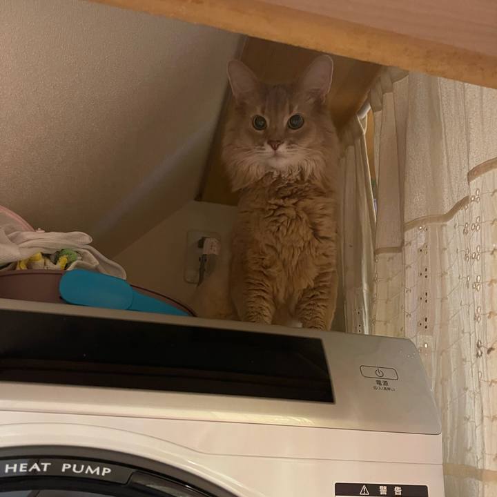 B53da8ce 0a0c 40d0 88d6 ec3dbd1df1f9 1726321397544