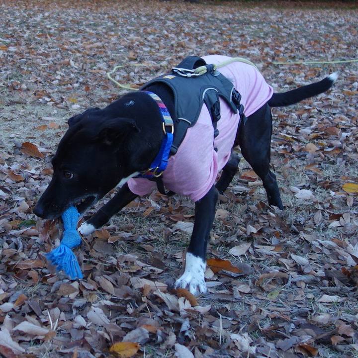 B53db255 c41d 4075 b0bb 043b0d431ea8 1639786301526