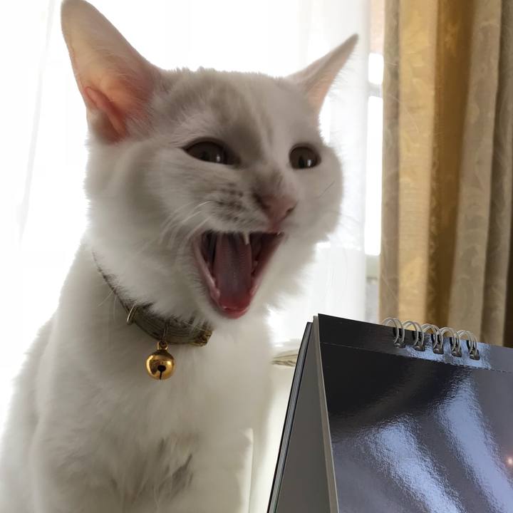 B53dcb59 c220 42fd 8398 b7c4b2875275 1510186873362