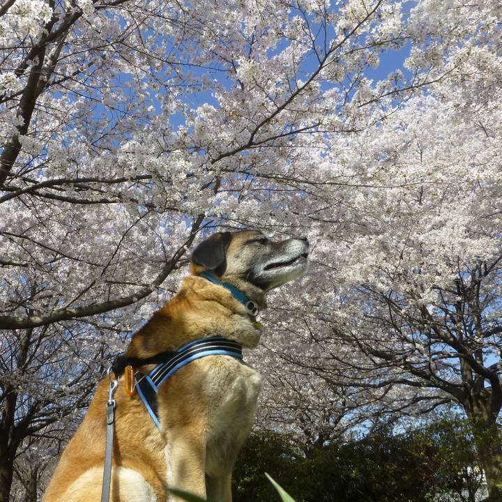 B53e3018 21f8 4af8 9bea 2cd024fa29b9 1579605242057