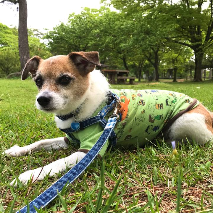 B53e3af8 d998 4468 a099 368bc6f43c7d 1589159247049