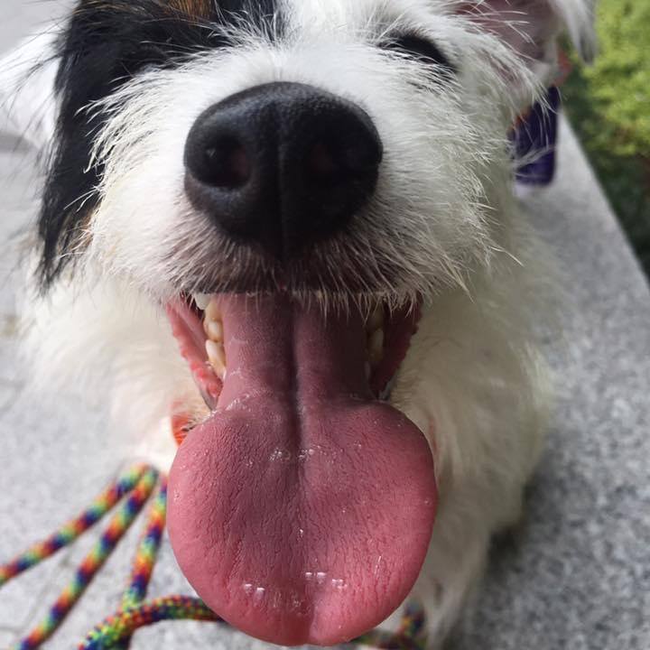 B53e4d5b 8c83 463c 8603 0440f9d9c6df 1692285232959