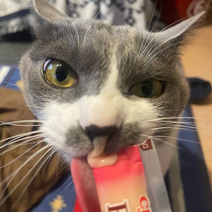 B53e5207 65b5 4328 98cd b5dcb35bb024 1672040078239