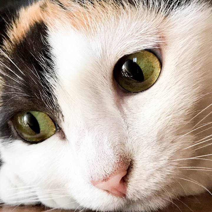 B53e56e6 fafb 48ce 8263 40dd47c84cc5 1532132560062