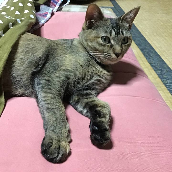 B53ecf74 97d5 4060 9cee f3c9f40c766e 1582108935089