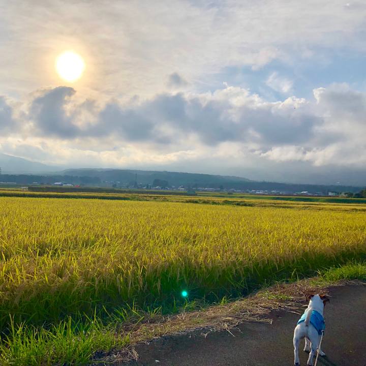 B53f224e 30ca 4926 a441 84475698ff43 1569848466904