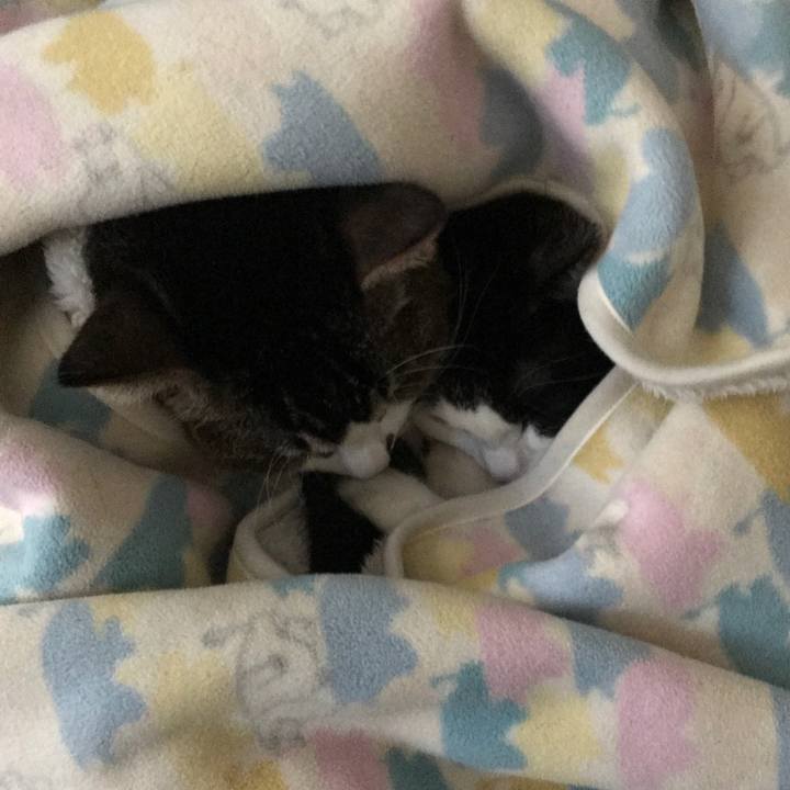 B53f234b adbc 4be8 926a ce6145ab3c2b 1515990513723