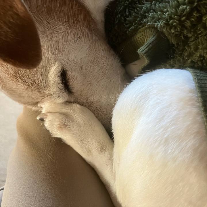 B53f4259 2ed4 4471 8a80 d9bfb9142be4 1767744679511