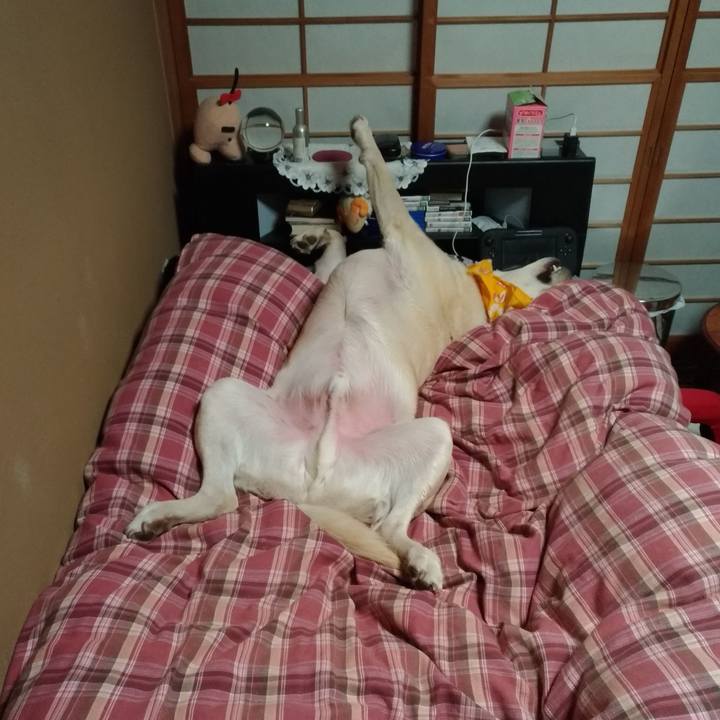 B53f476c 1c33 4430 baf5 142a205b62c8 1610943219576