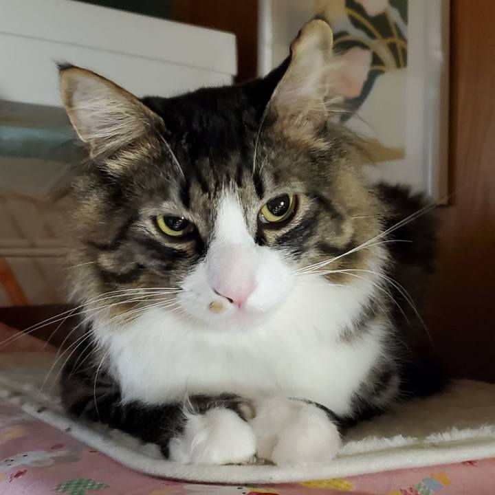 B53f6aa9 954d 4460 ab83 accab0a4d284 1678771970858