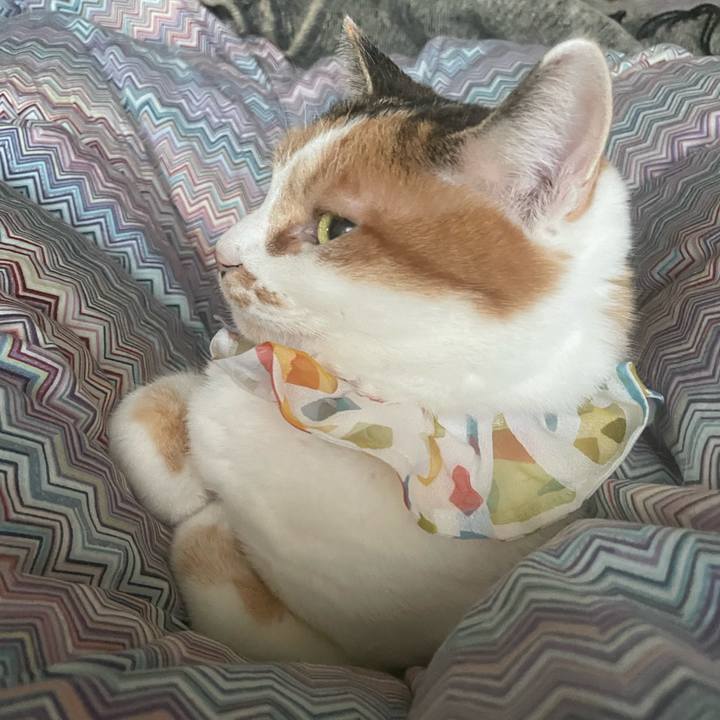 B53ffc71 5a75 4f9b 928f e5c329da009d 1767826154284