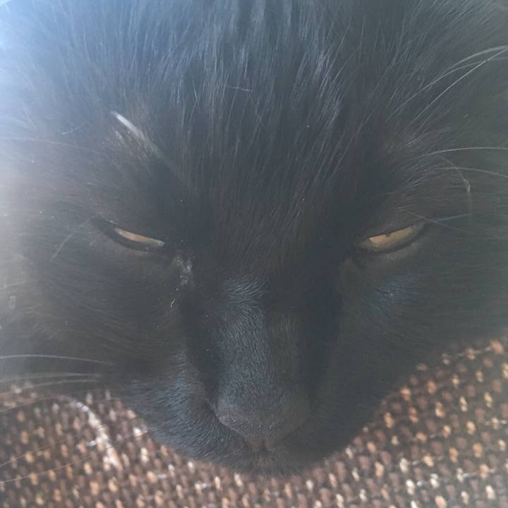 B5405666 34ba 4a1c a438 fa1f20d70846 1528106117115