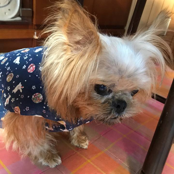 B540bc08 87e0 4c9d 9fc0 5e6e59121507 1577753127849