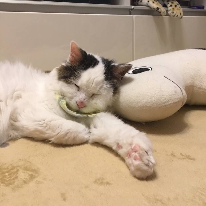 B540d72e b67e 4e05 8069 992f69b4a617 1574329249082