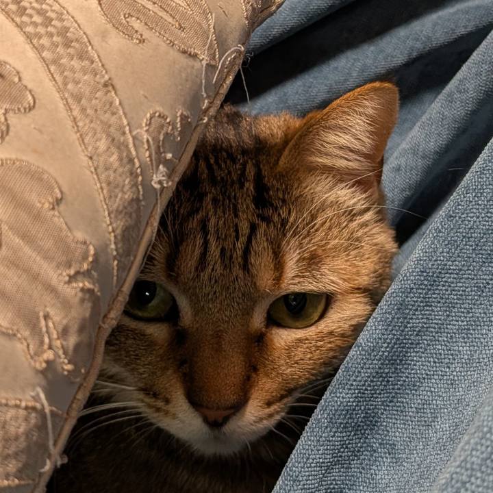 B540db52 551c 48bf 9ff8 12efe17fc177 1771363707039