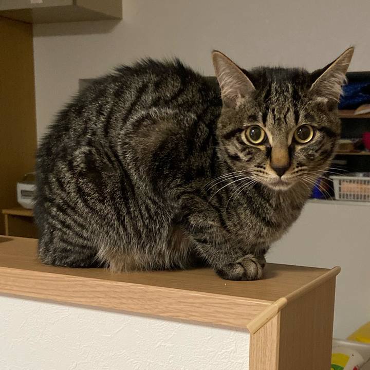 B54139f9 9156 43d6 b3bb 9d56b928bb6b 1615894495867