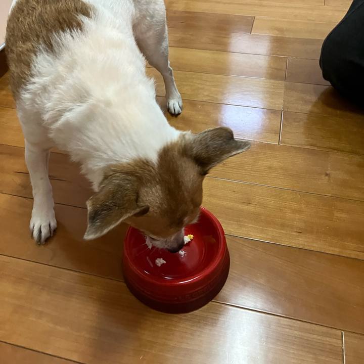 B541990c 7a0c 40dd a666 082d62c9dfa7 1772782580719