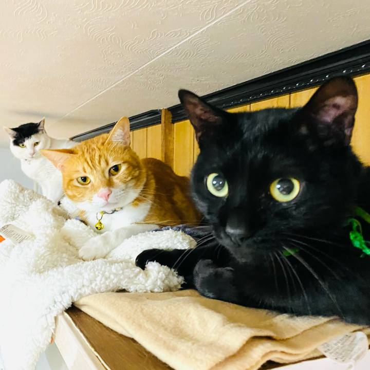 B541a984 843f 4d74 859a e4f1c1e62a6e 1669980170867