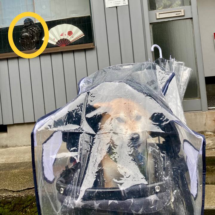 B5420614 d4fc 4b9e a87e d7ea3117e73d 1686701325332