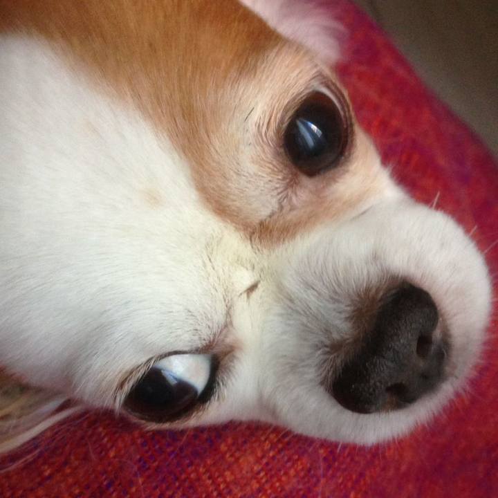 B5420a56 a3db 4e19 9b13 15d5c580e836 1511049043602