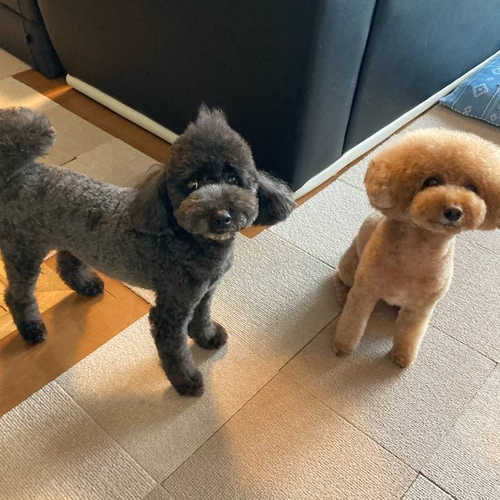 B5420b1e 34d2 4da0 b1d1 544e4440c471 1628415444407