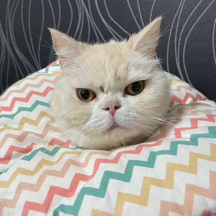 B5421f3c 7812 4842 b4c1 179d7f297590 1765370137925