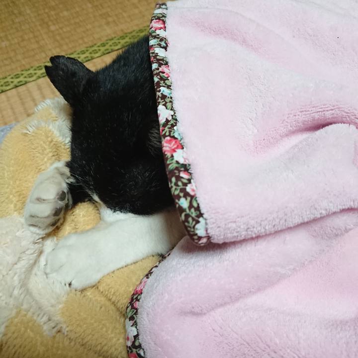 B54226de f731 49d5 a0fa ba9a7213ec18 1674903782055