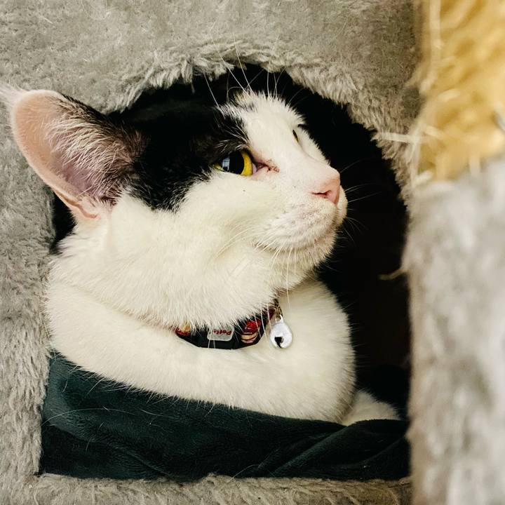 B5424e50 1d4a 486f 85d8 ff97a1044a5b 1669131910763