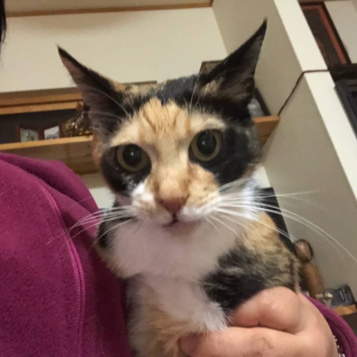 B542645f ac72 4c95 b94f 1be90ec6151c 1544997553553