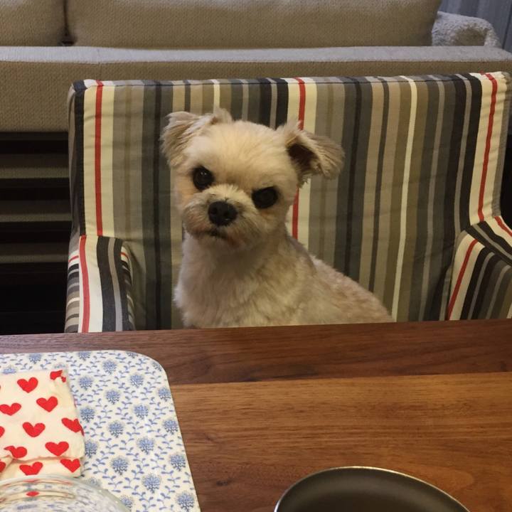 B542a92e b011 4af1 903b 6937543d50ab 1532780386184