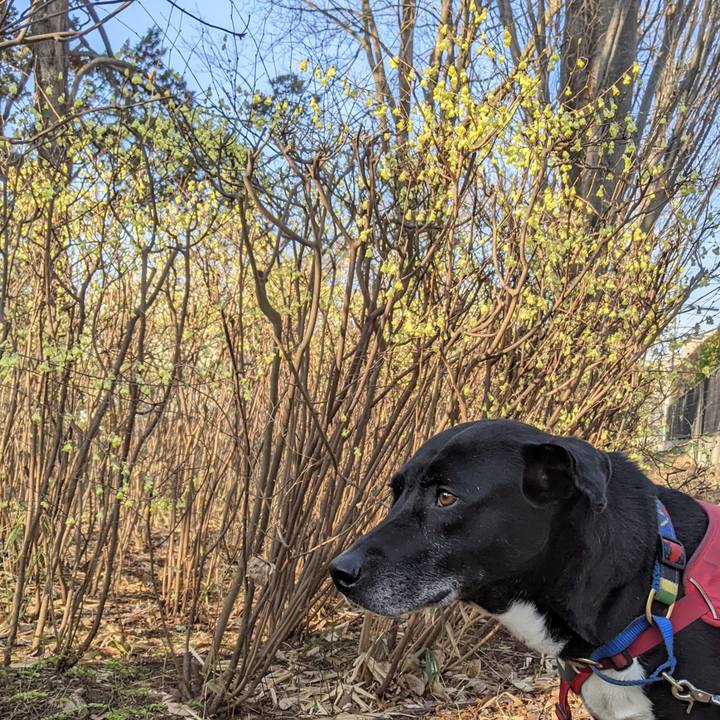 B542d119 ff26 4027 b735 6c163d722117 1678927523386