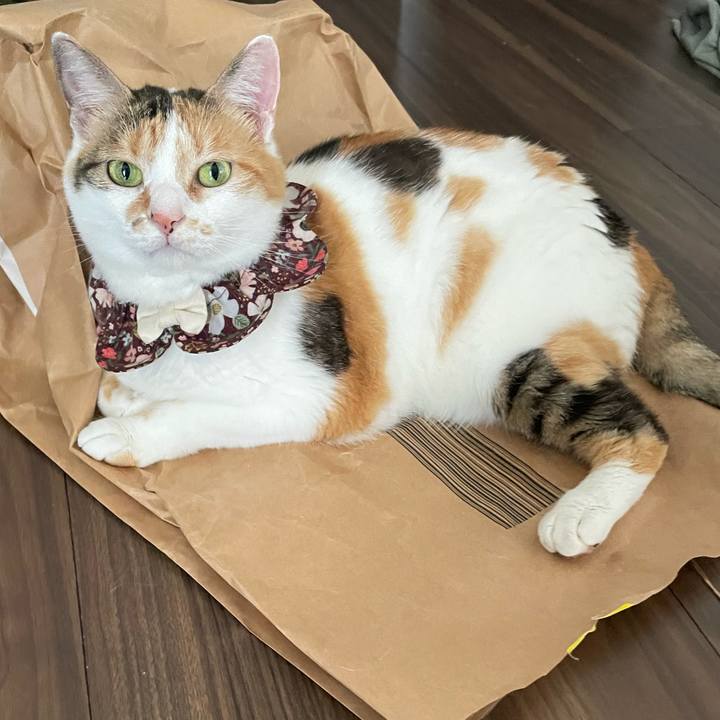 B542feb0 96eb 4c18 a078 6e699bd93a8d 1751844823630