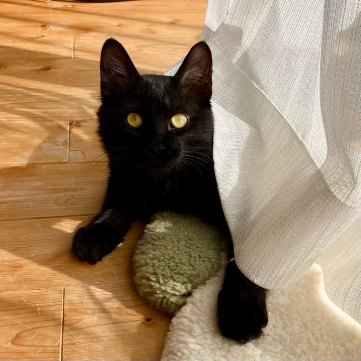 B5431bd9 7a97 4edb 9ee4 cbc2bb7d8d3f 1710047903063