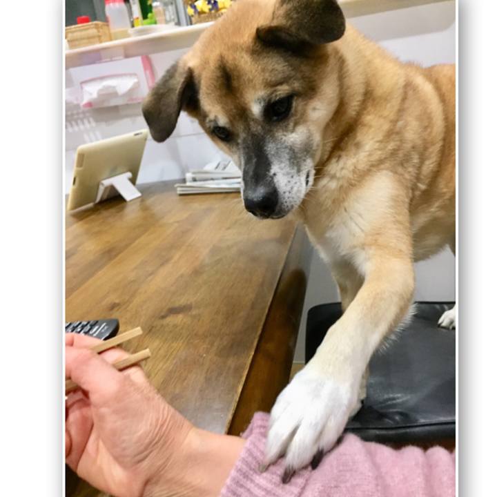 B5433ee8 3f19 4731 824e 315c1d1e5760 1575637188667