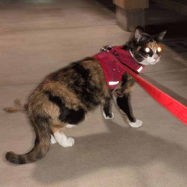 B543a10c bfe7 4d9b 8280 f667fda22632 1580031552995