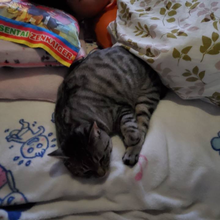 B543d59f a1bd 4978 a53e db404cd9bedc 1721362228013