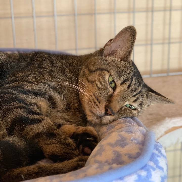 B543ed62 9d0f 4b38 875d cbb0d3ad4ca2 1601601747095