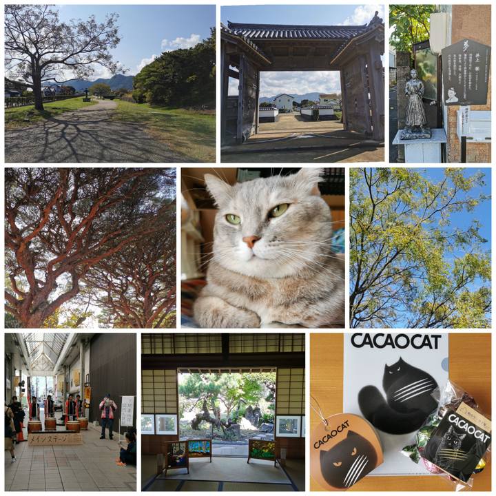 B5443315 b12a 44ea 9b11 82e16e94909d 1635675561120