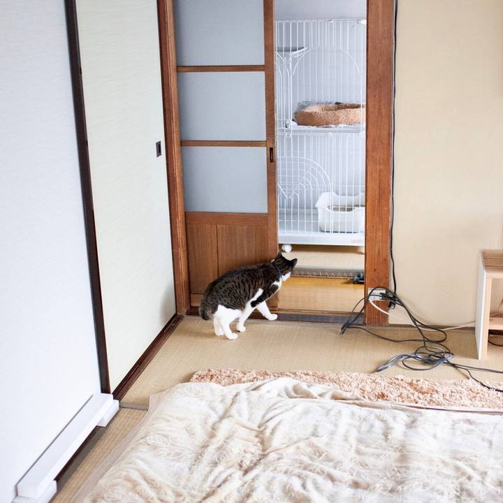 B5444e22 0700 4be9 9d95 08e8efb3a678 1580440906999