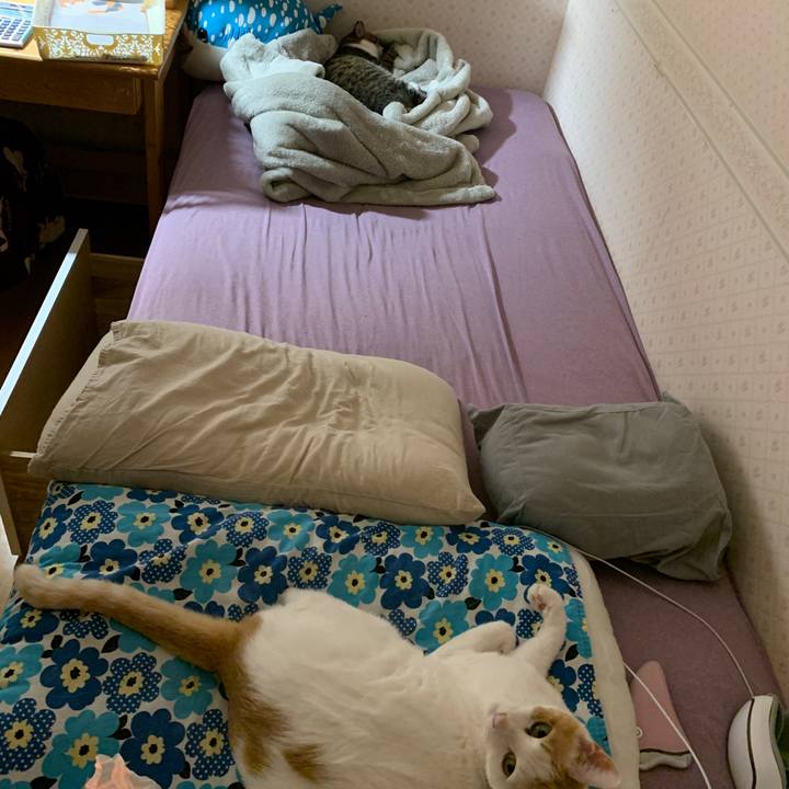 B544533e dfbb 4f1f 8d33 1783f1187beb 1652709791822