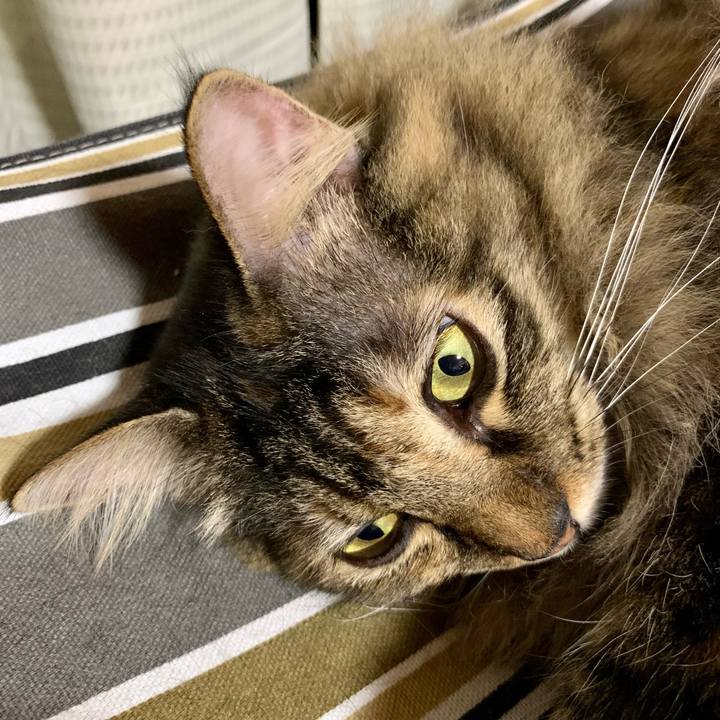 B544711a 405e 451d 90cf fffc708a5f0b 1686399908696