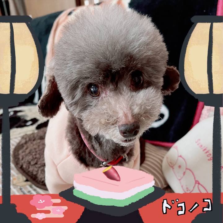 B54475d4 8bb0 498d 8693 937ab7725e5f 1741064736443