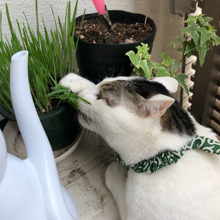 B5447a91 38fc 4452 baa0 db9bdf7ea381 1527428132592