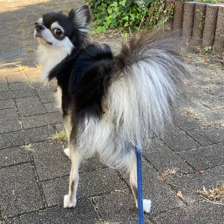 B544a7fb fc61 4168 bdde cba7974fde90 1664695970961