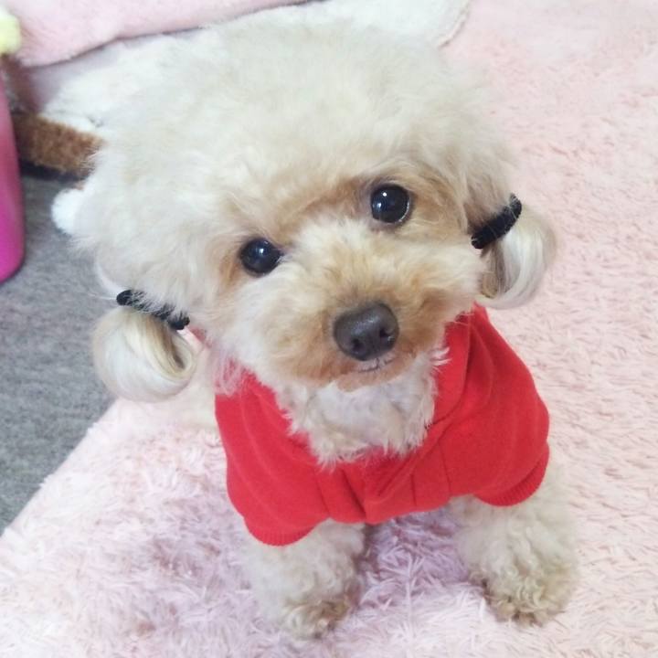 B544a8e5 74d4 4056 b9e5 463230fb3d6f 1543048841331