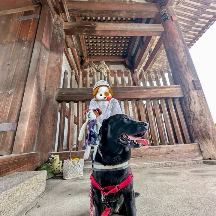 B544ae16 ddce 4fb7 89a9 89696f94bd86 1747881989570