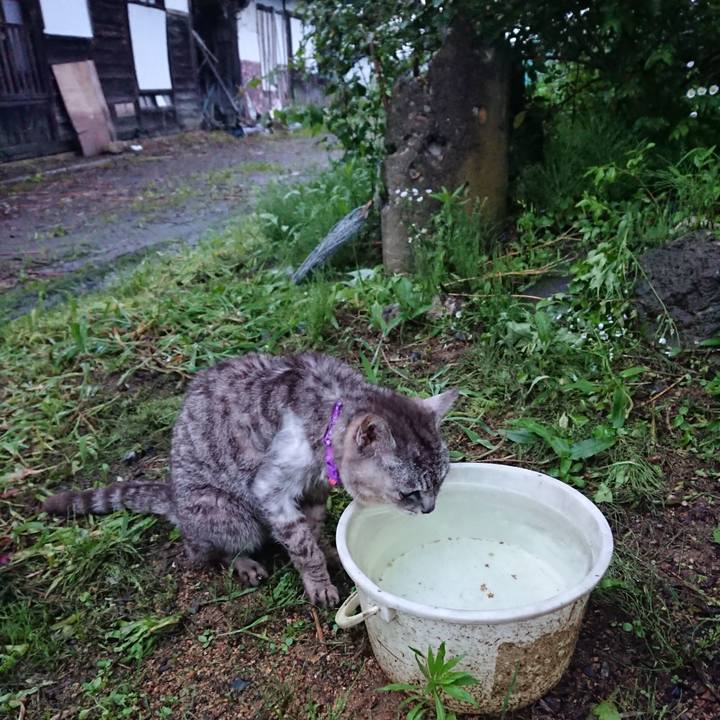 B544cfc6 c747 4fe5 8cdb 78981d3b6d8b 1595843578402