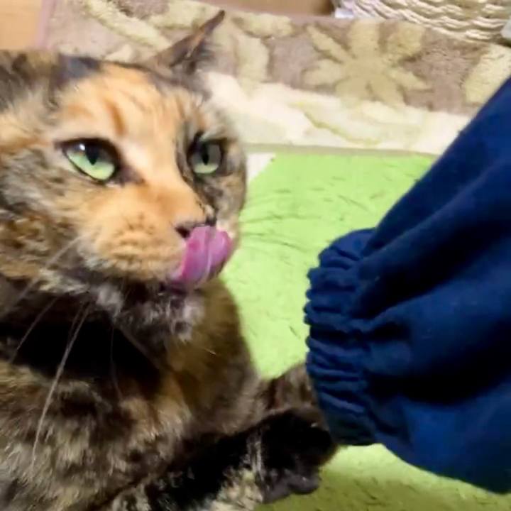 B544de08 08c3 46ce beb4 2e6b6983e81b 1732044556143